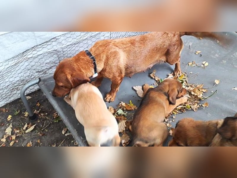 Aurelia - Aus ihrer Liebe wurden sieben Wunder - jetzt braucht Aurelia ein Wunder für sich!