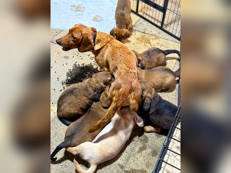 Aurelia - Aus ihrer Liebe wurden sieben Wunder - jetzt braucht Aurelia ein Wunder für sich!