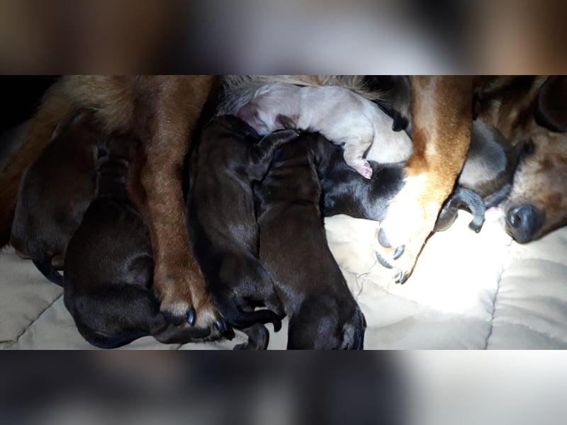 Aurelia - Aus ihrer Liebe wurden sieben Wunder - jetzt braucht Aurelia ein Wunder für sich!