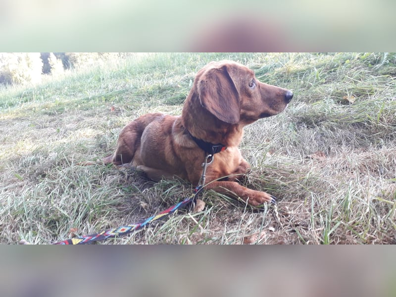 Aurelia - Aus ihrer Liebe wurden sieben Wunder - jetzt braucht Aurelia ein Wunder für sich!