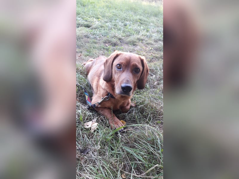 Aurelia - Aus ihrer Liebe wurden sieben Wunder - jetzt braucht Aurelia ein Wunder für sich!