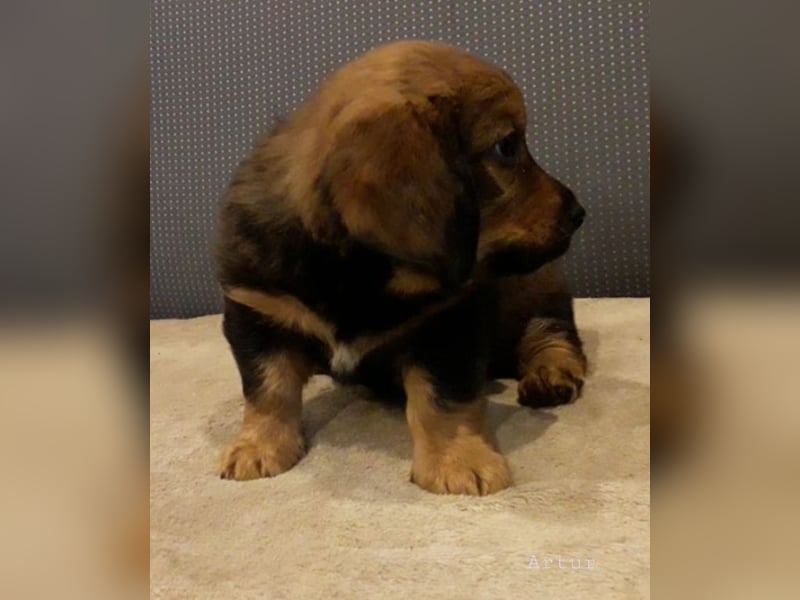 Artur - Ein Herz, sieben Geschwister, eine Mama