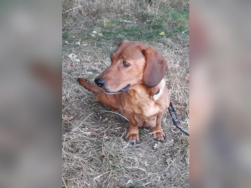 Aurelia - Aus ihrer Liebe wurden sieben Wunder - jetzt braucht Aurelia ein Wunder für sich!