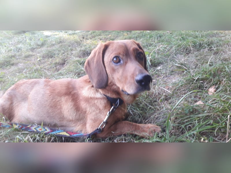 Aurelia - Aus ihrer Liebe wurden sieben Wunder - jetzt braucht Aurelia ein Wunder für sich!