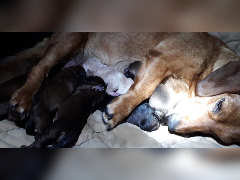 Aurelia - Aus ihrer Liebe wurden sieben Wunder - jetzt braucht Aurelia ein Wunder für sich!