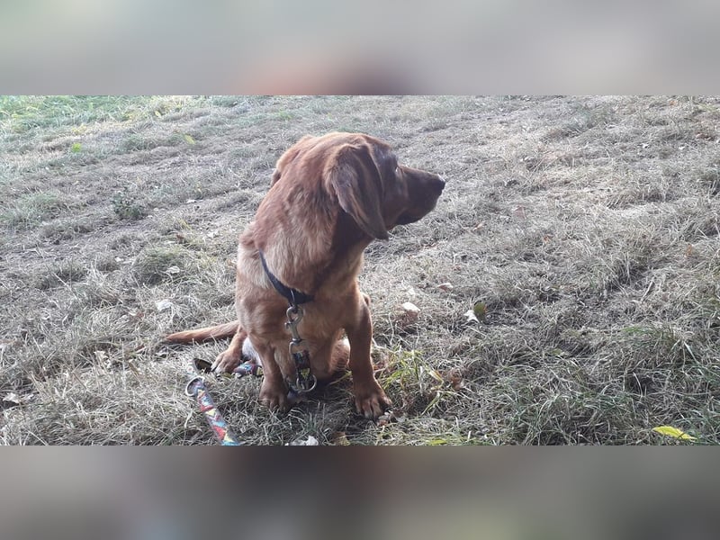 Aurelia - Aus ihrer Liebe wurden sieben Wunder - jetzt braucht Aurelia ein Wunder für sich!