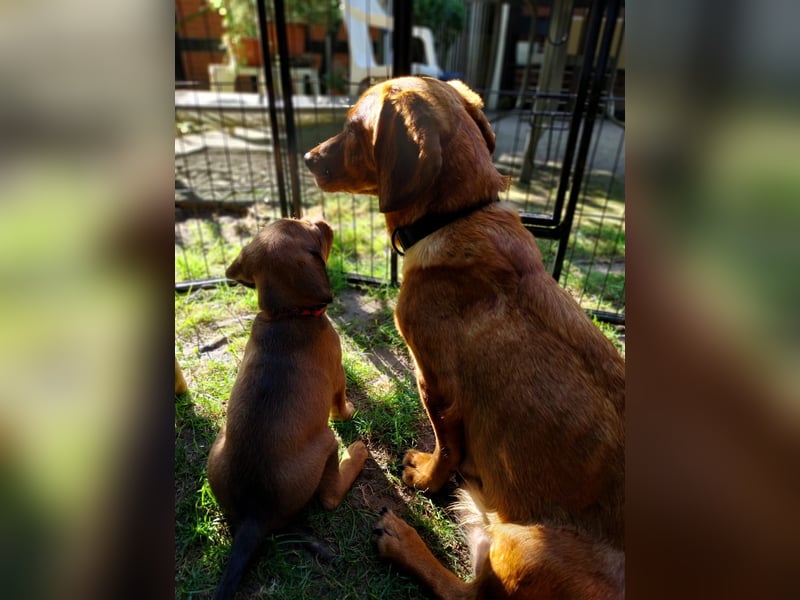 Aurelia - Aus ihrer Liebe wurden sieben Wunder - jetzt braucht Aurelia ein Wunder für sich!