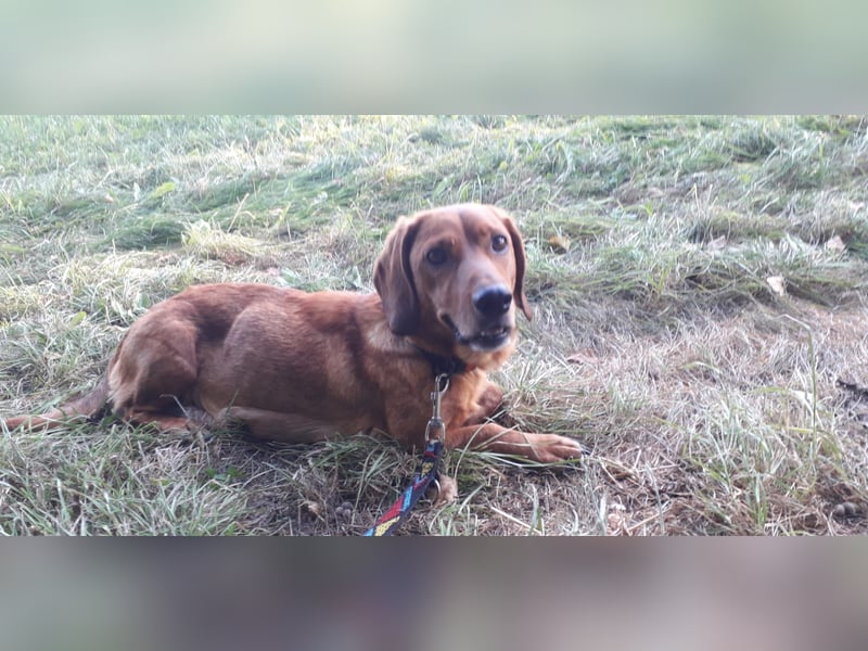 Aurelia - Aus ihrer Liebe wurden sieben Wunder - jetzt braucht Aurelia ein Wunder für sich!