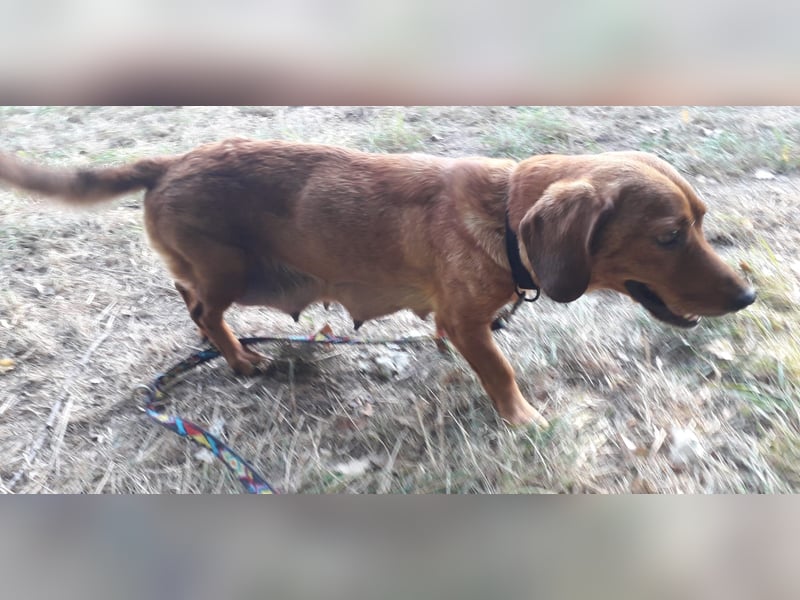 Aurelia - Aus ihrer Liebe wurden sieben Wunder - jetzt braucht Aurelia ein Wunder für sich!