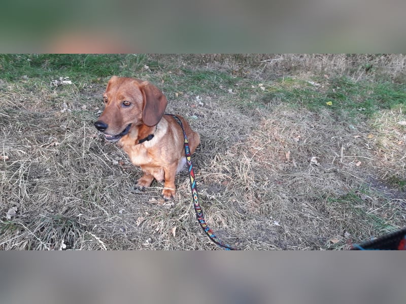 Aurelia - Aus ihrer Liebe wurden sieben Wunder - jetzt braucht Aurelia ein Wunder für sich!