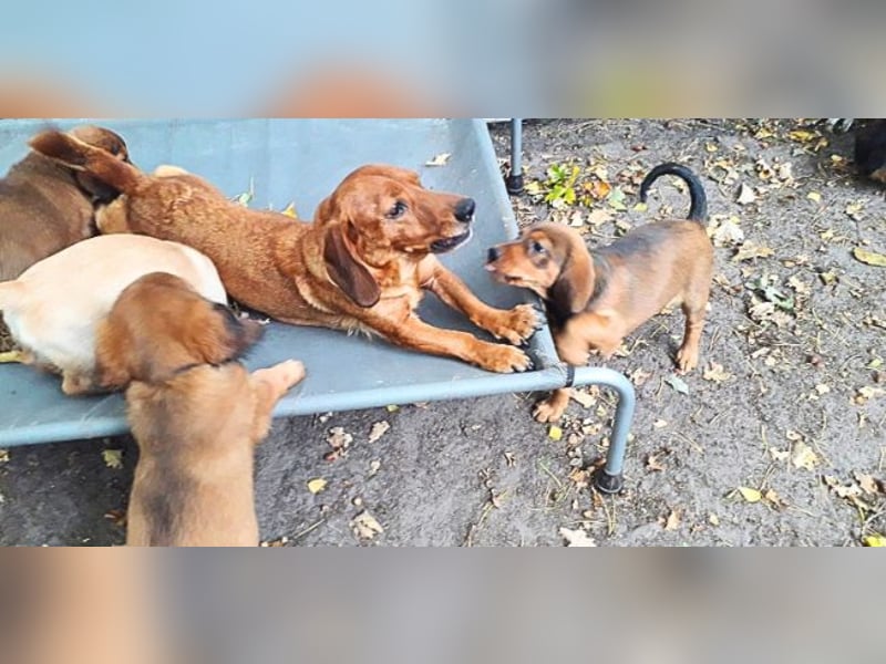 Aurelia - Aus ihrer Liebe wurden sieben Wunder - jetzt braucht Aurelia ein Wunder für sich!