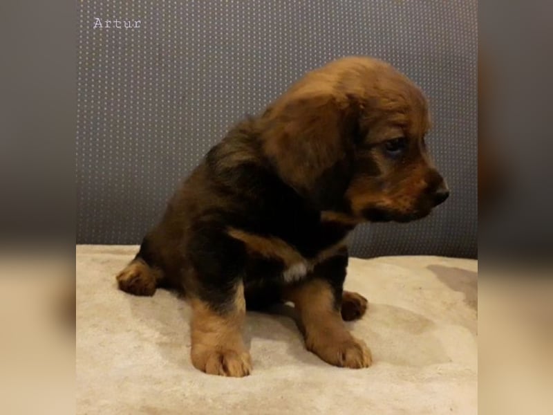 Artur - Ein Herz, sieben Geschwister, eine Mama
