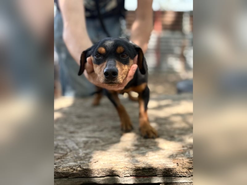 Alizee-wer dacktelt da ins neue Heim?