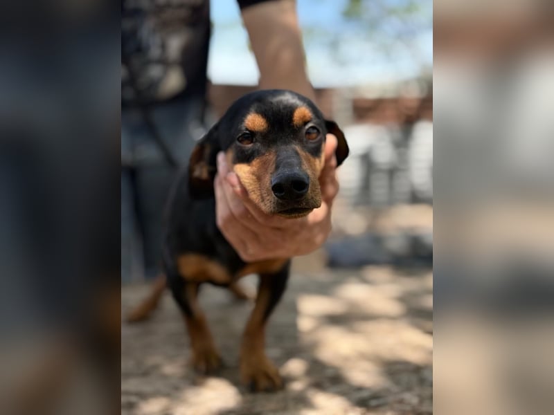 Alizee-wer dacktelt da ins neue Heim?