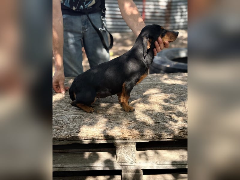 Alizee-wer dacktelt da ins neue Heim?