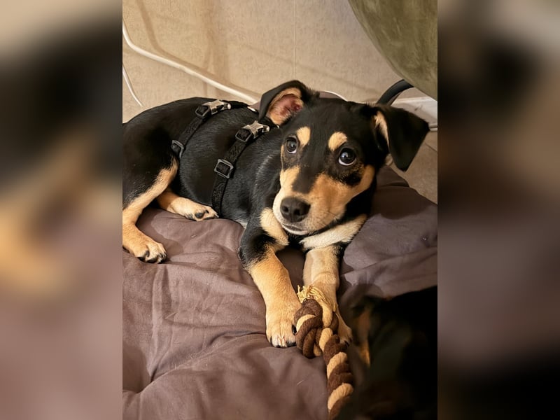 Luns in 31700 Heuerßen