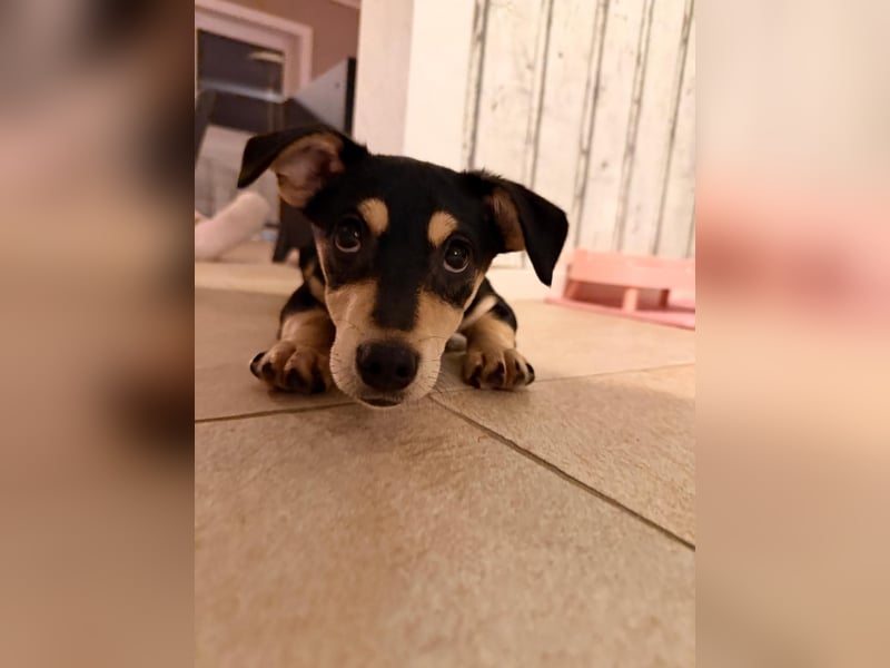 Luns in 31700 Heuerßen