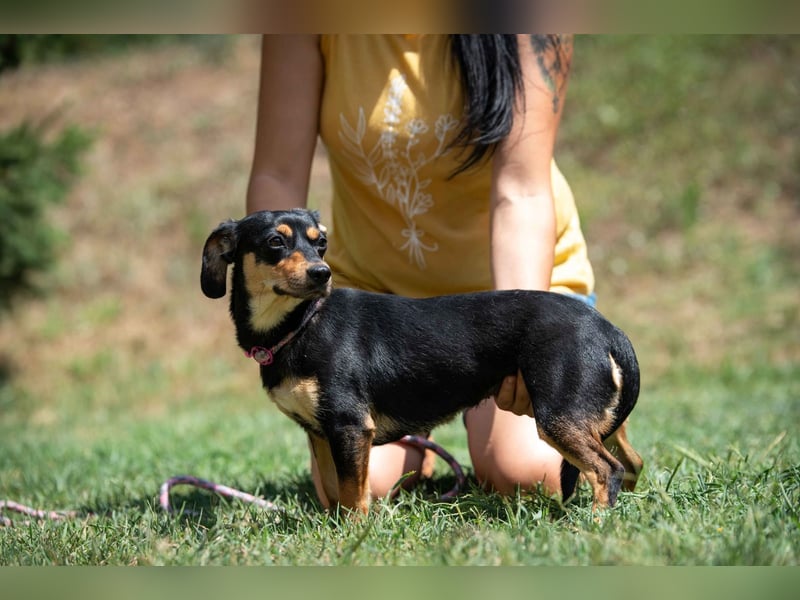 Kito