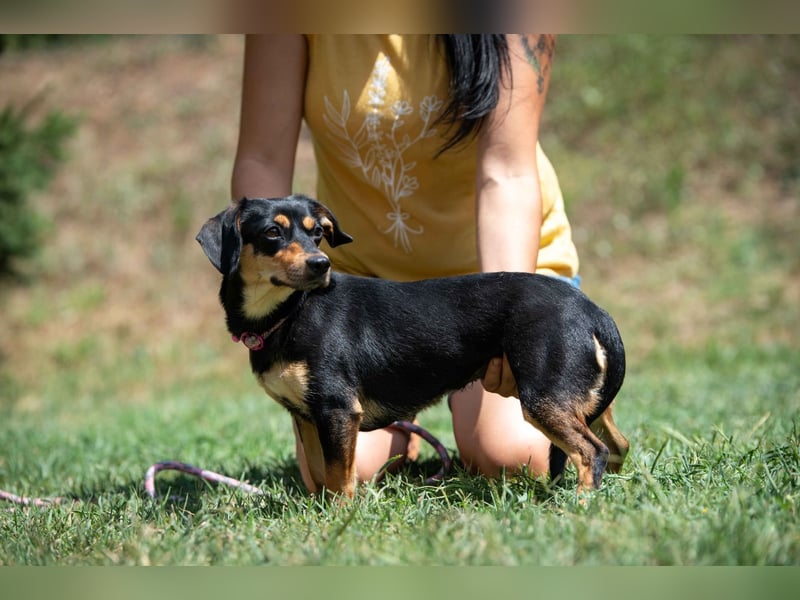 Kito