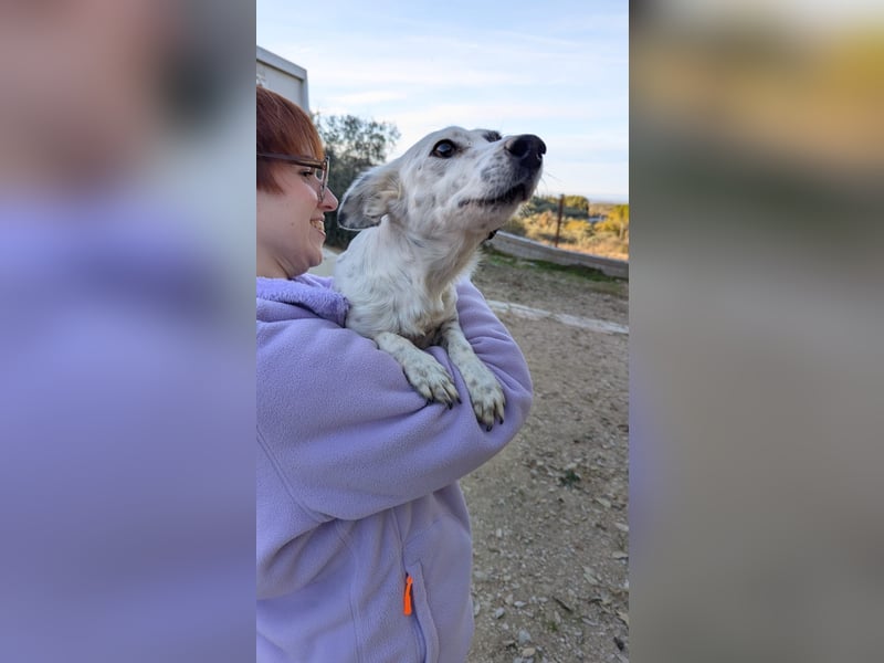 Lupa, eine kleine freundliche Hündin