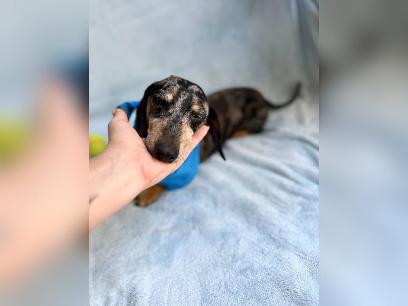 Evelyn - Kleine Herzensdame möchte endlich Liebe nachholen