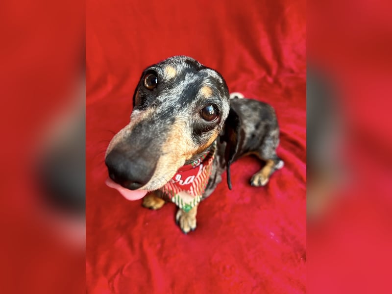 Evelyn - Kleine Herzensdame möchte endlich Liebe nachholen