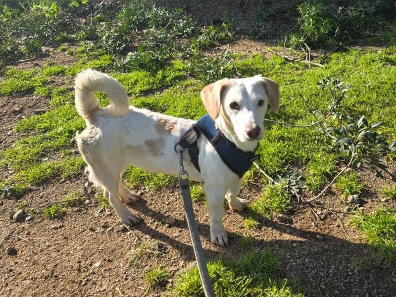 RESERVIERT !! Anna Maria - schau mir in die Augen, Kleines!