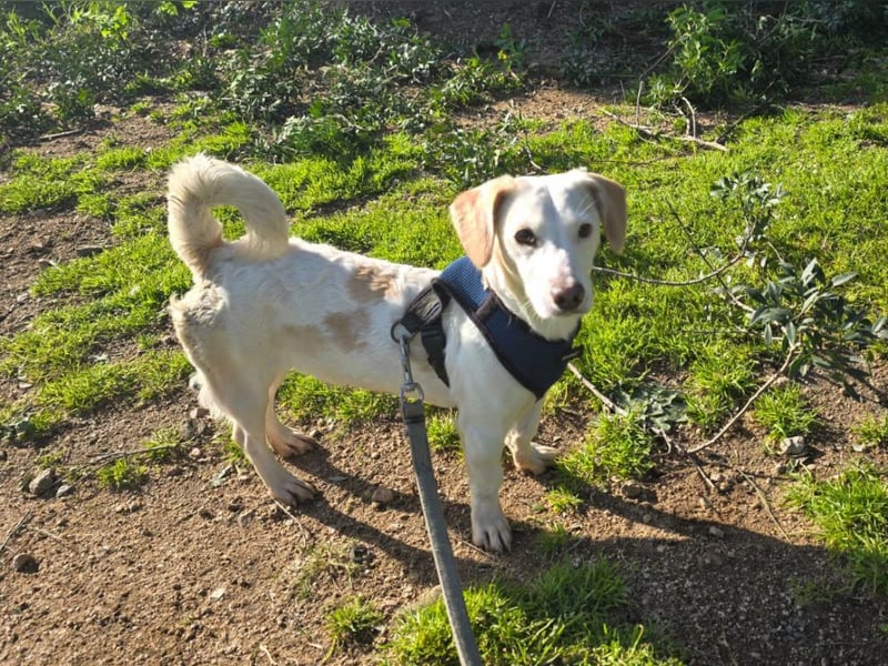 Anna Maria - schau mir in die Augen, Kleines!