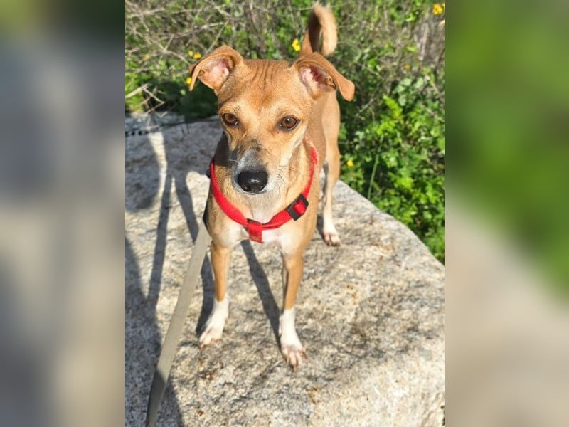 Anna Maria - schau mir in die Augen, Kleines!