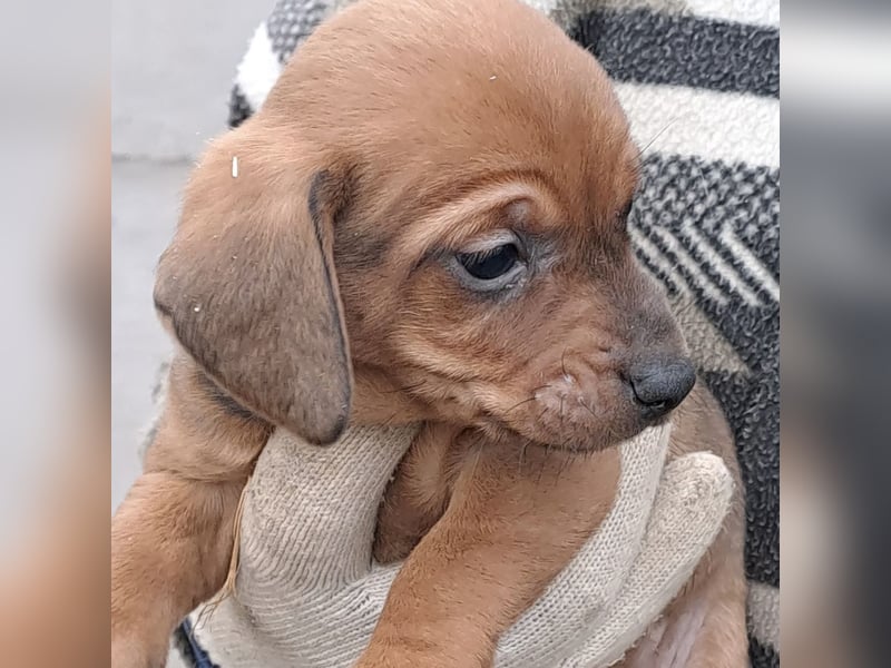 MINNIE IST BEREIT FÜRS LEBEN