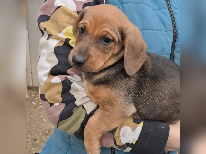 KIRA - AUF IN DIE GROßE WELT