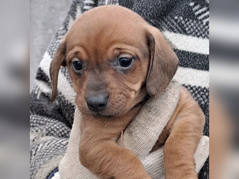 MINNIE IST BEREIT FÜRS LEBEN