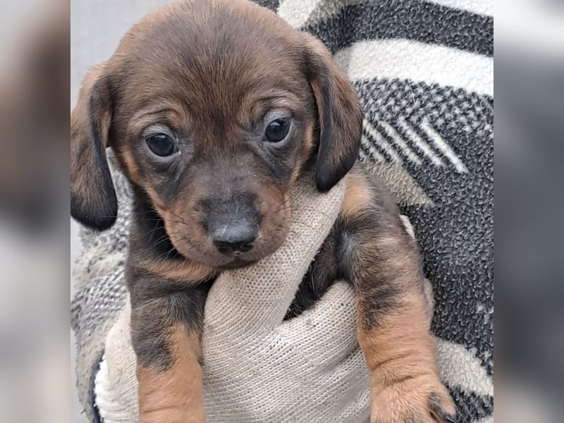 KIKI WAGT DEN START INS LEBEN