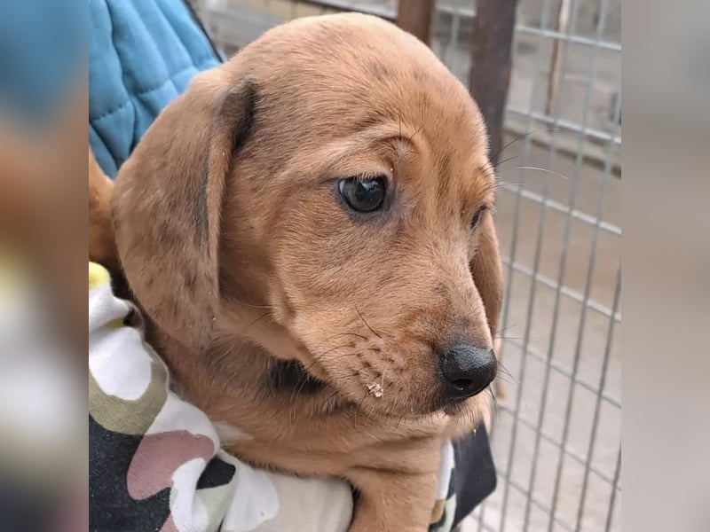 NANCY MÖCHTE DIE WELT KENNENLERNEN