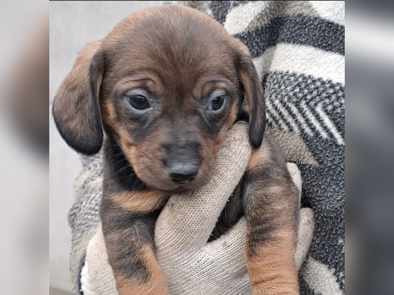 KIKI WAGT DEN START INS LEBEN