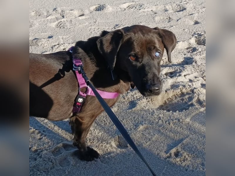 NERINA MUSS IHR ZUHAUSE VERLASSEN