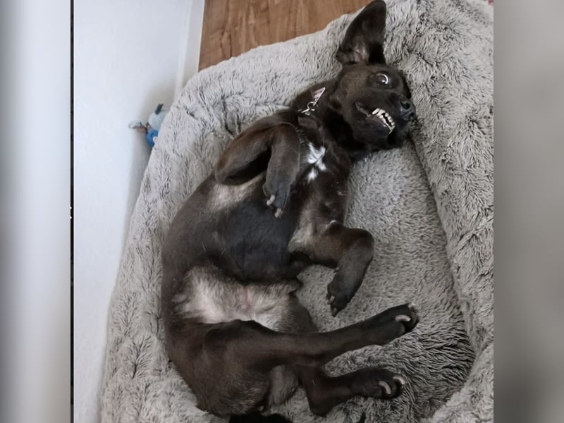 NERINA MUSS IHR ZUHAUSE VERLASSEN