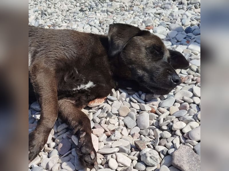 NERINA MUSS IHR ZUHAUSE VERLASSEN