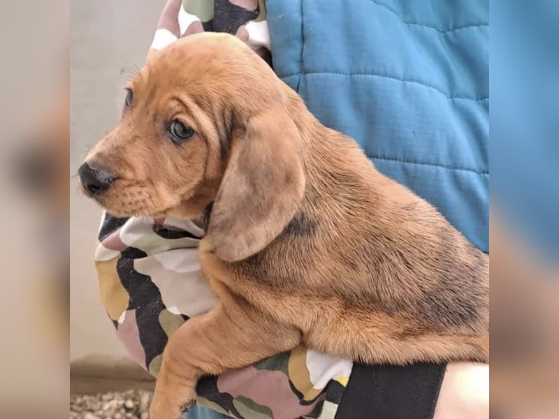 NANCY MÖCHTE DIE WELT KENNENLERNEN