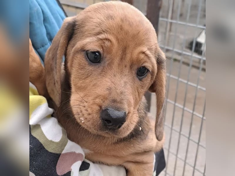 NANCY MÖCHTE DIE WELT KENNENLERNEN