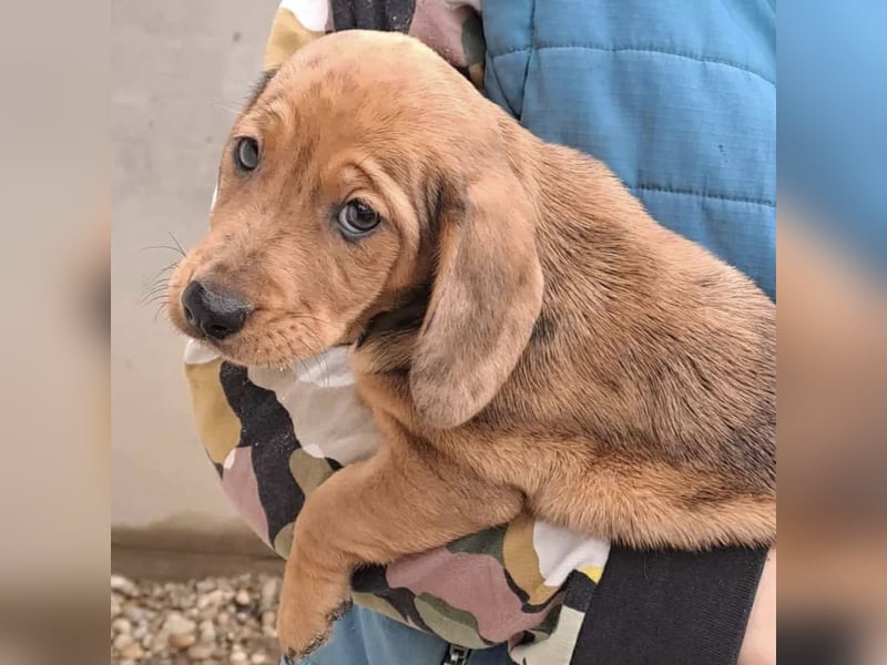 NANCY MÖCHTE DIE WELT KENNENLERNEN