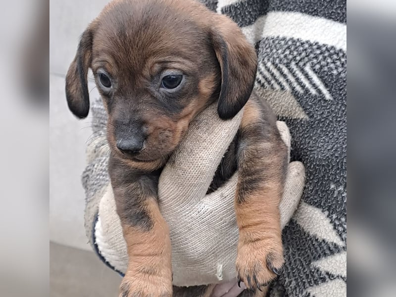 KIKI WAGT DEN START INS LEBEN