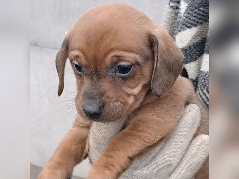 MINNIE IST BEREIT FÜRS LEBEN