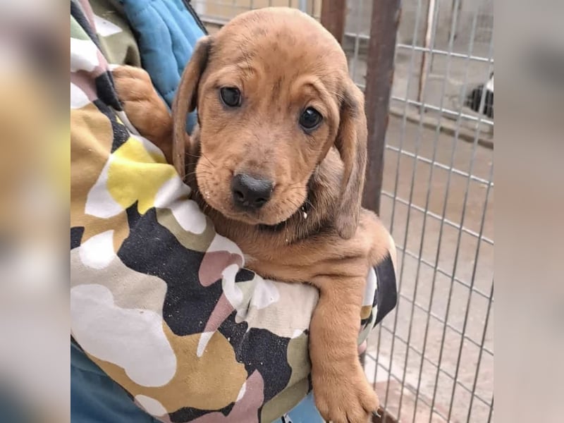 NANCY MÖCHTE DIE WELT KENNENLERNEN