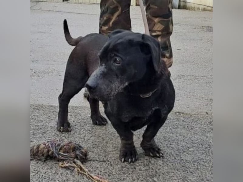 DARUN - LEBENSABEND GESUCHT