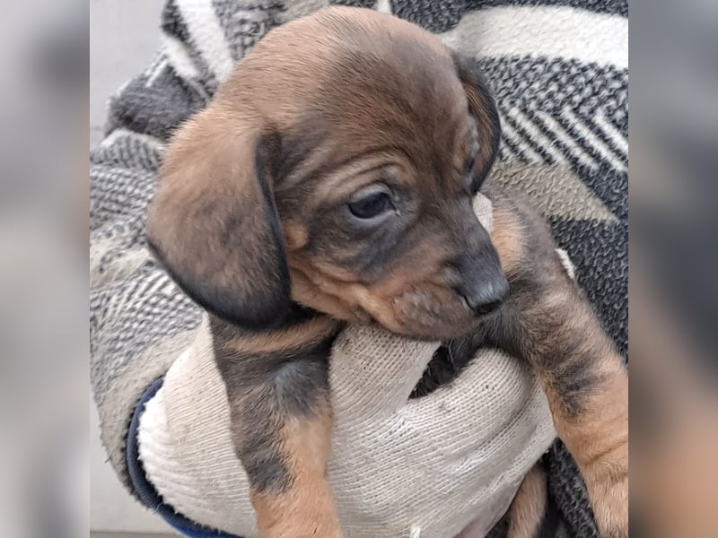 KIKI WAGT DEN START INS LEBEN