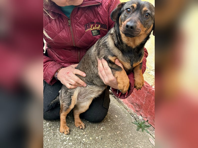 Corinna, geboren 07.06.2024, 30cm sucht ihr Glück