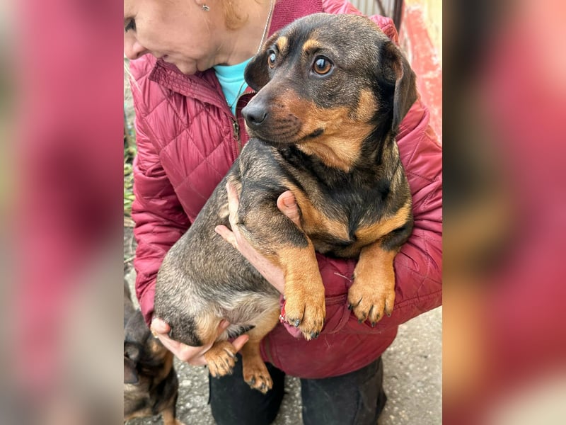 Corinna, geboren 07.06.2024, 30cm sucht ihr Glück