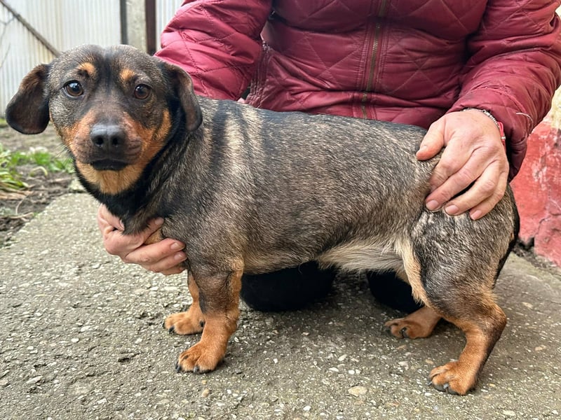 Corinna, geboren 07.06.2024, 30cm sucht ihr Glück