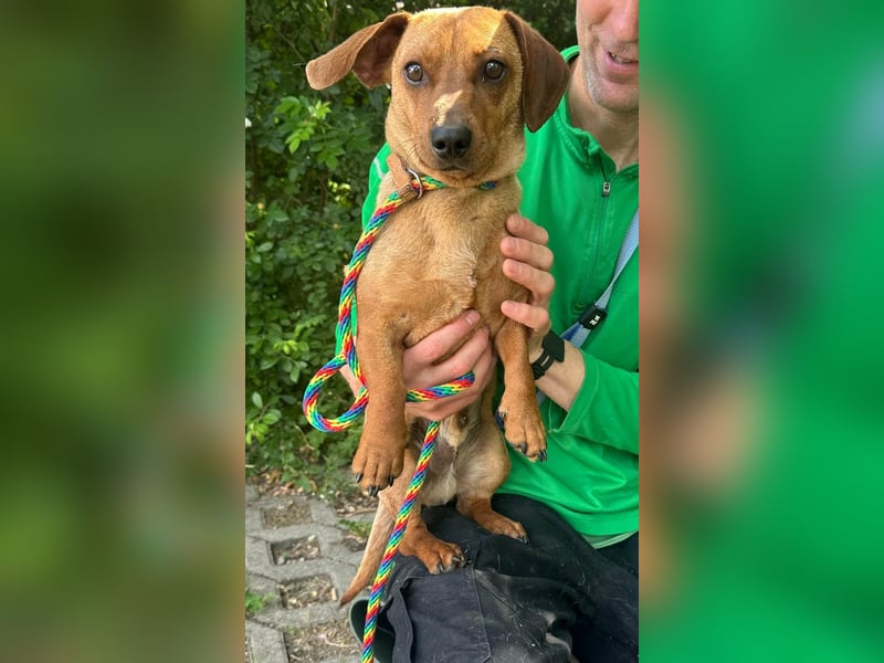 Pepe, 1 Jahr, 27cm sucht sein Glück